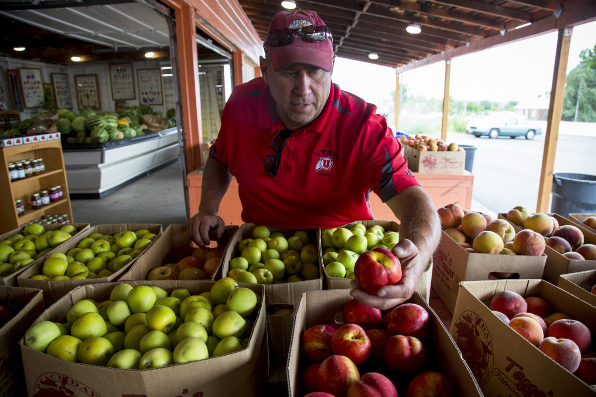 Support a Utah farmer, get fresh produce from community supported
